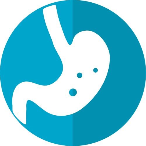 d6daaab7cf56f5a9950201c37a La supplémentation alimentaire peut améliorer la GVH induite par les antibiotiques après une greffe de cellules souches